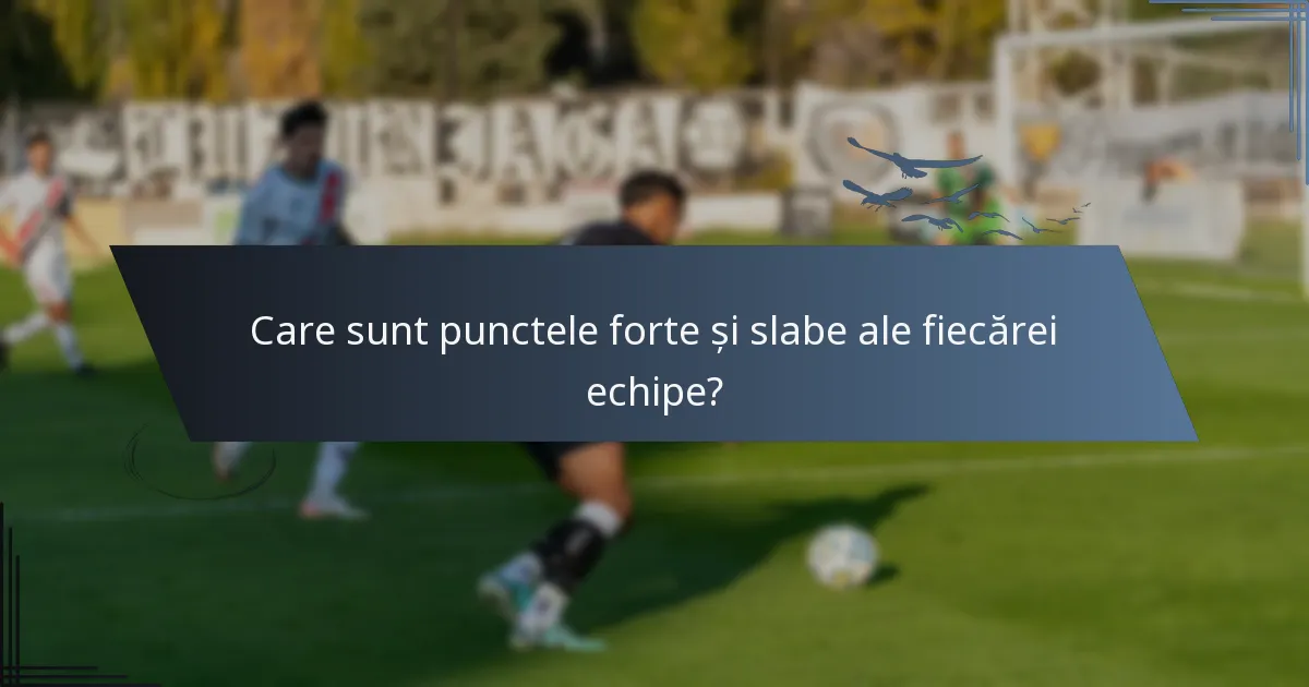 Care sunt punctele forte și slabe ale fiecărei echipe?