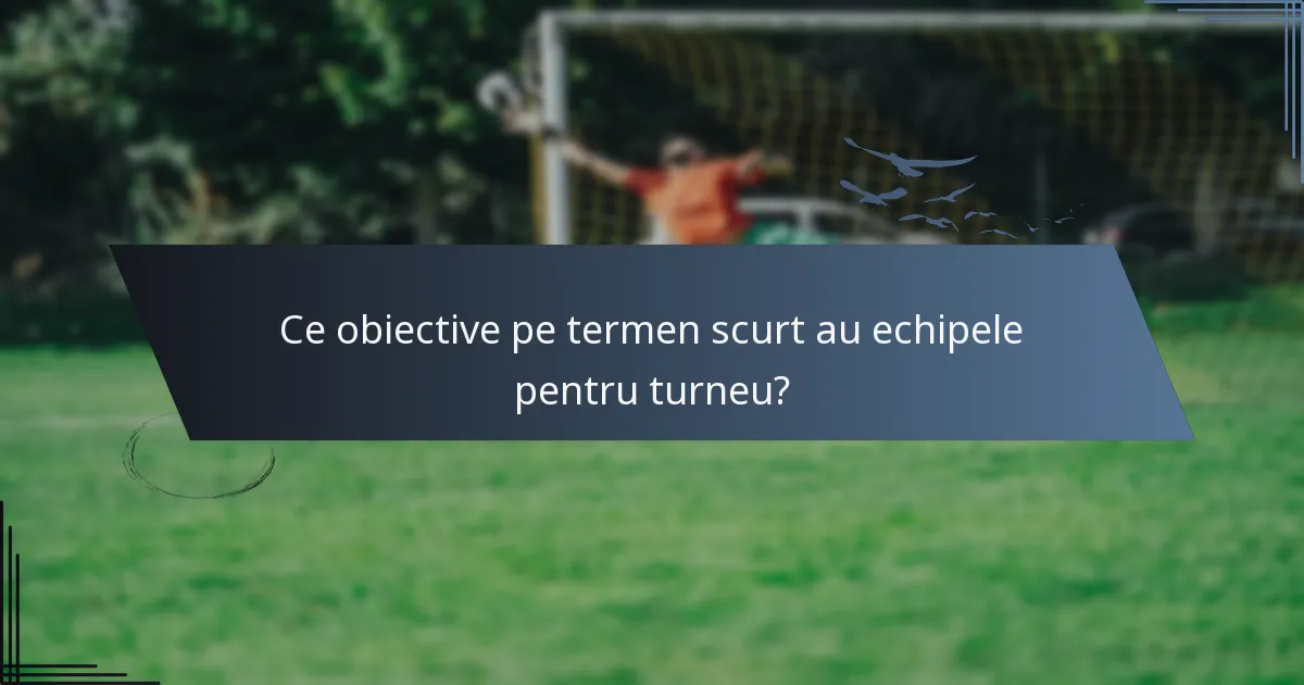 Ce obiective pe termen scurt au echipele pentru turneu?