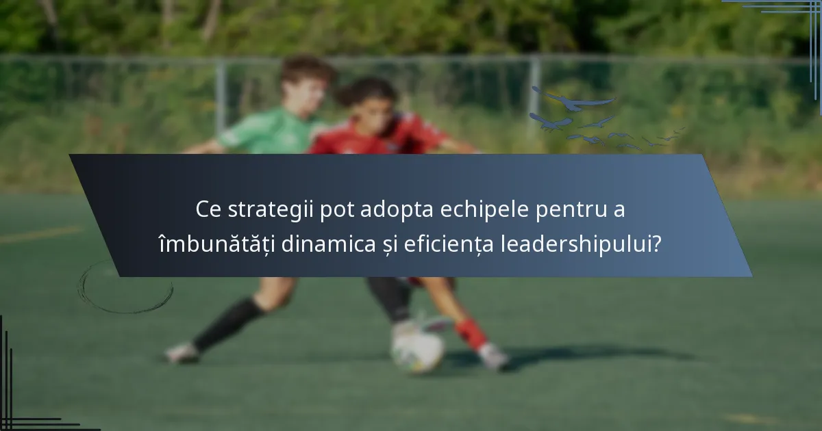 Ce strategii pot adopta echipele pentru a îmbunătăți dinamica și eficiența leadershipului?