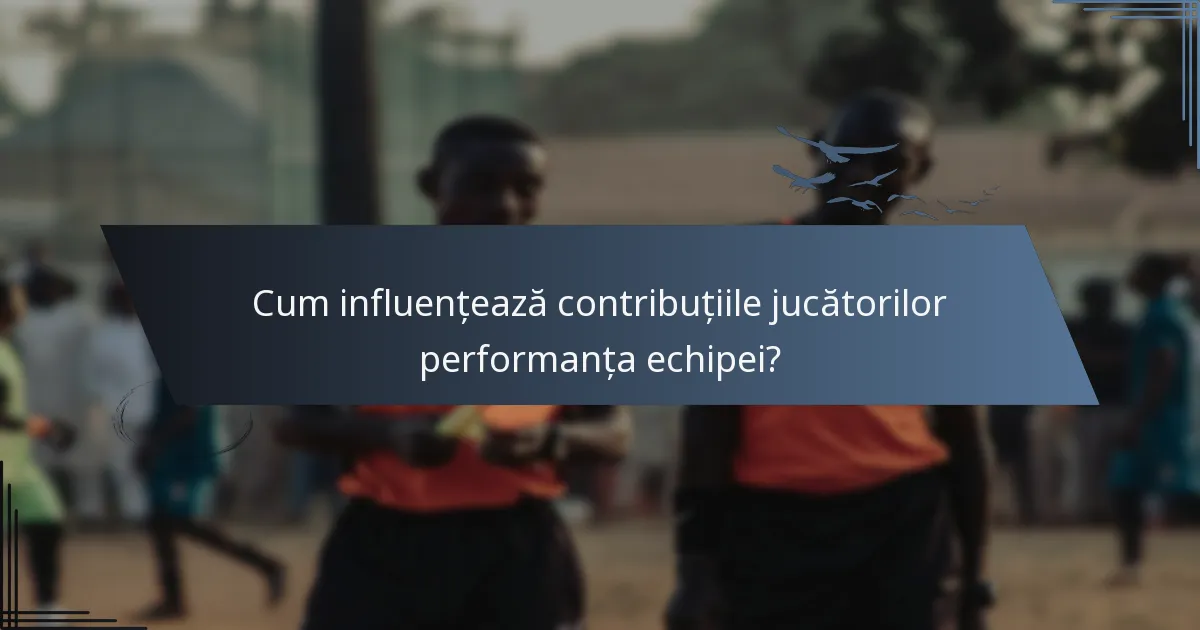 Cum influențează contribuțiile jucătorilor performanța echipei?