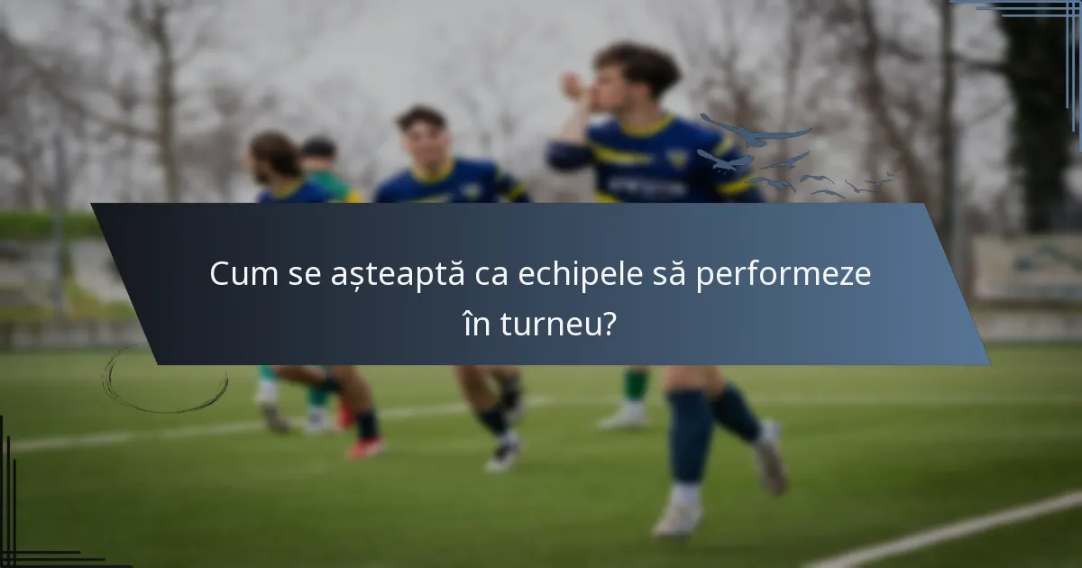 Cum se așteaptă ca echipele să performeze în turneu?